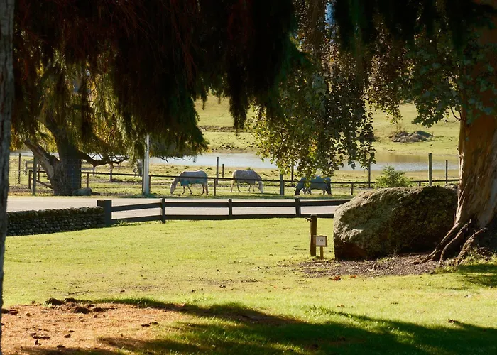 Sundale Maru